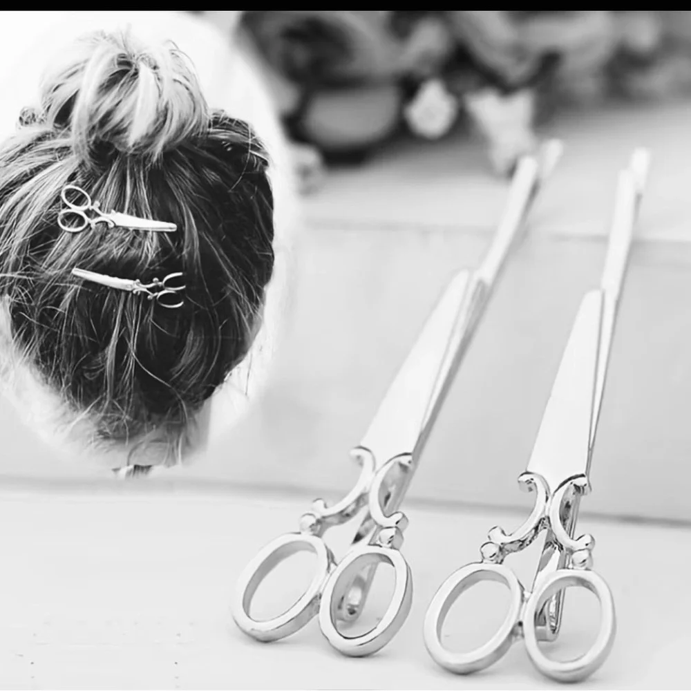 Silver Hair Scissors Bobby-pin Set